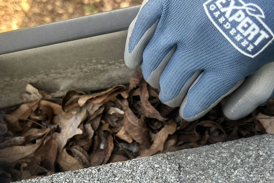 Bayside Gutter Cleaning