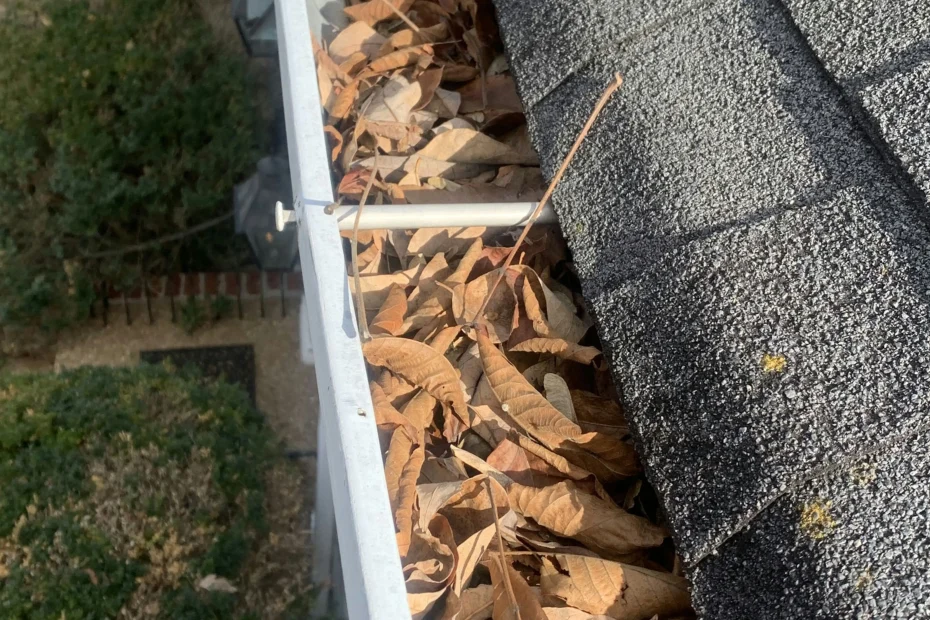 Bayside Gutter Cleaning