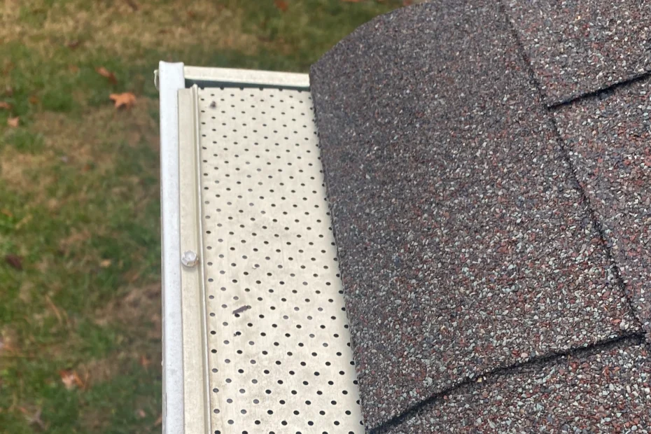 Bayside Gutter Cleaning